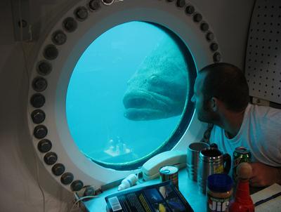 «Водолей» — единственная в мире подводная лаборатория