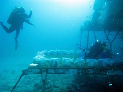 «Водолей» — единственная в мире подводная лаборатория