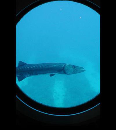 «Водолей» — единственная в мире подводная лаборатория