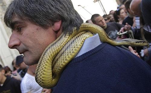 В Италии прошла процессия змееловов