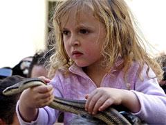 В Италии прошла процессия змееловов