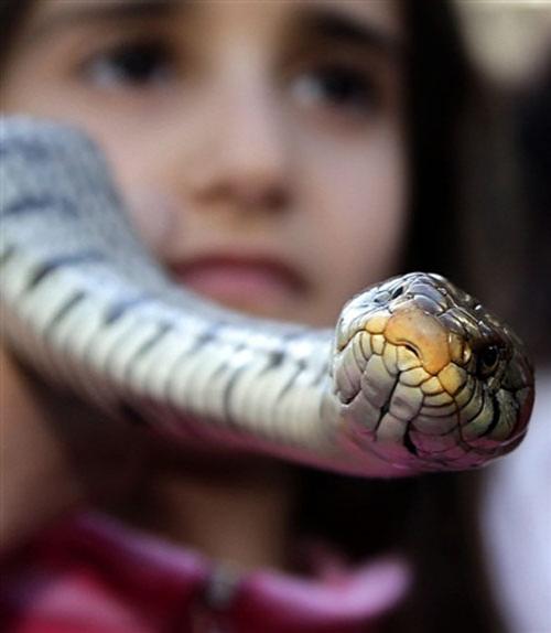 В Италии прошла процессия змееловов