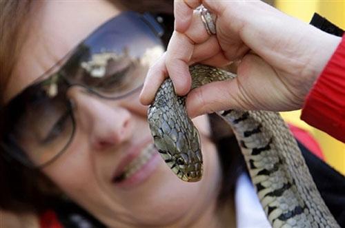 В Италии прошла процессия змееловов