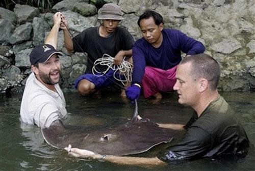Американский биолог охотится за гигантской пресноводной рыбой