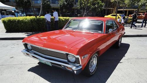 Необычные «пришельцы» из космоса