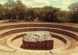 Необычные «пришельцы» из космоса