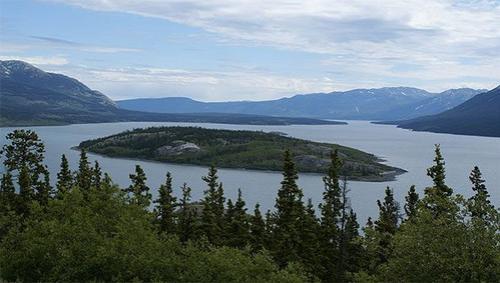 Необычные «пришельцы» из космоса