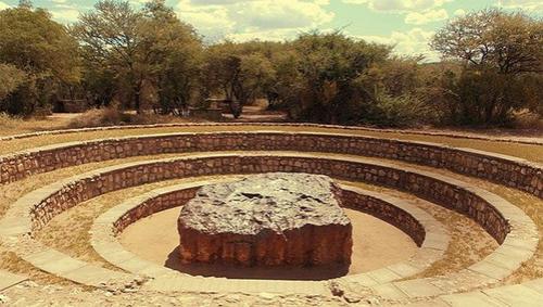 Необычные «пришельцы» из космоса