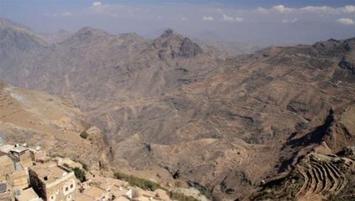 Необычные «пришельцы» из космоса