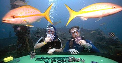 Экстремальный покер для акул за 2500 фунтов