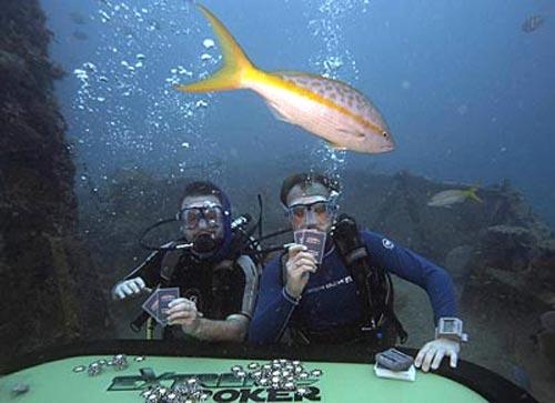 Экстремальный покер для акул за 2500 фунтов