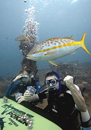 Экстремальный покер для акул за 2500 фунтов