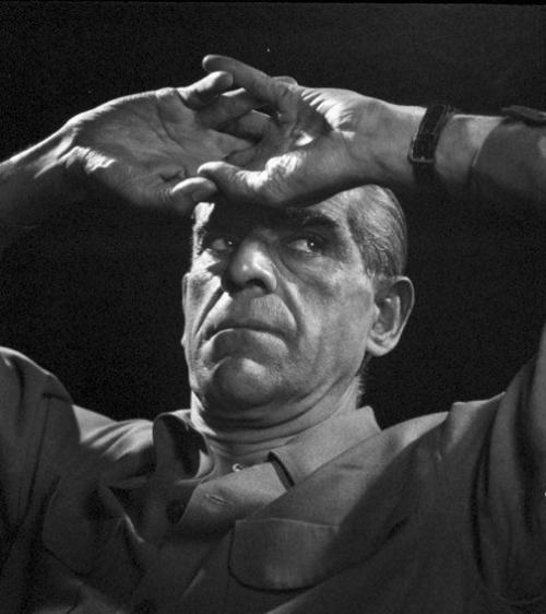 Легенды в фотографиях от Юсуфа Карша