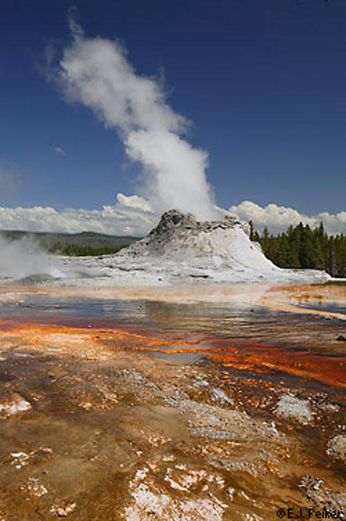 Как выглядит незакрытый пуп земли