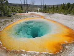 Как выглядит незакрытый пуп земли