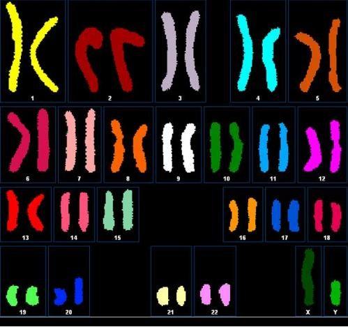 Самые выдающиеся рекорды десятилетия