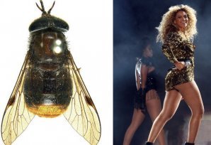 13 животных с именами знаменитостей