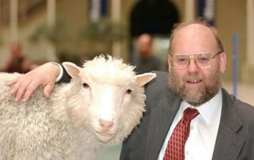 Двухголовая собака и другие животные, которые перевернули науку