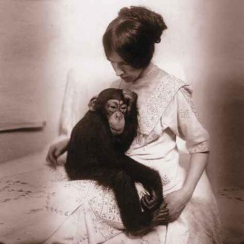 Двухголовая собака и другие животные, которые перевернули науку