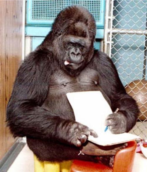 Двухголовая собака и другие животные, которые перевернули науку