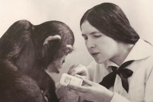 Двухголовая собака и другие животные, которые перевернули науку