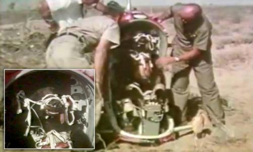 Двухголовая собака и другие животные, которые перевернули науку