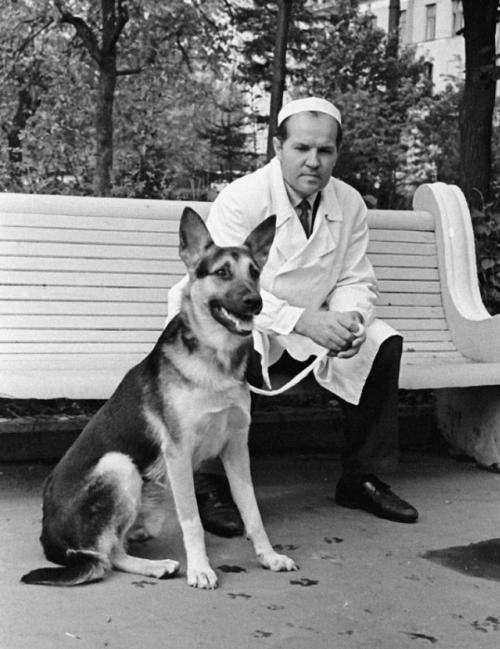 Двухголовая собака и другие животные, которые перевернули науку