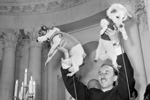 Двухголовая собака и другие животные, которые перевернули науку