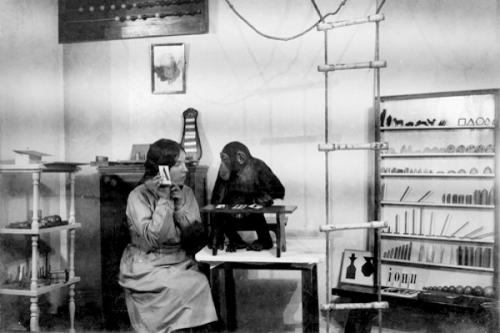 Двухголовая собака и другие животные, которые перевернули науку