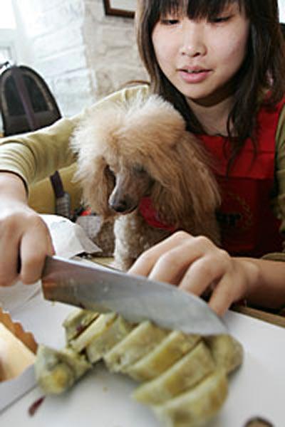 В Сеуле собак кормили по-царски