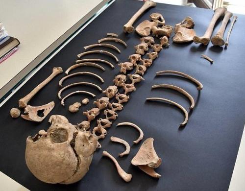 В Италии нашли кобылу — ровесницу Христа