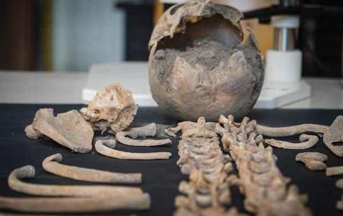 В Италии нашли кобылу — ровесницу Христа