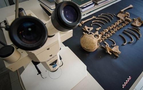 В Италии нашли кобылу — ровесницу Христа