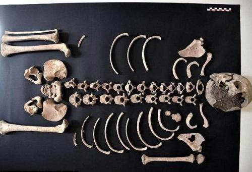 В Италии нашли кобылу — ровесницу Христа