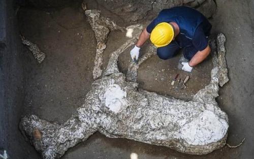 В Италии нашли кобылу — ровесницу Христа