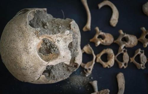 В Италии нашли кобылу — ровесницу Христа