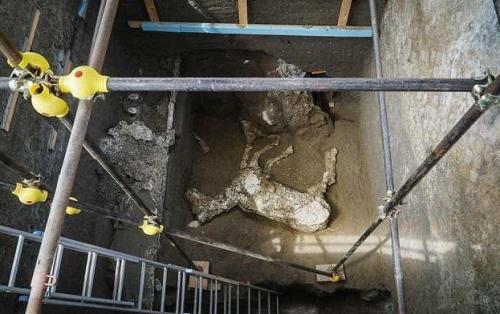 В Италии нашли кобылу — ровесницу Христа