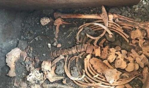 В Италии нашли кобылу — ровесницу Христа