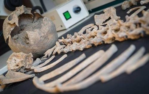 В Италии нашли кобылу — ровесницу Христа