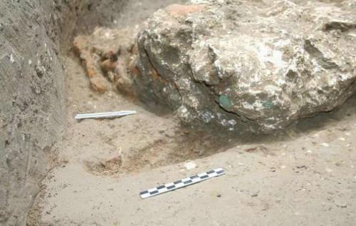 В Италии нашли кобылу — ровесницу Христа