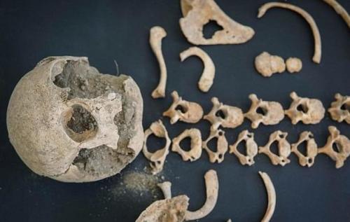 В Италии нашли кобылу — ровесницу Христа