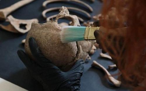 В Италии нашли кобылу — ровесницу Христа