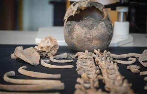 В Италии нашли кобылу — ровесницу Христа