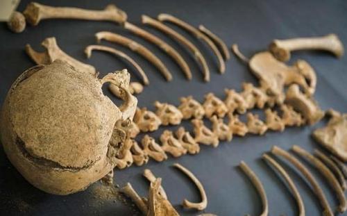 В Италии нашли кобылу — ровесницу Христа