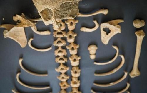 В Италии нашли кобылу — ровесницу Христа