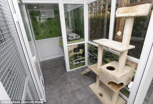 В Великобритании открыли фешенебельный отель для кошек