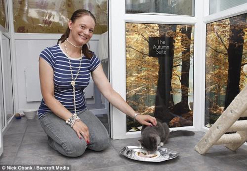 В Великобритании открыли фешенебельный отель для кошек