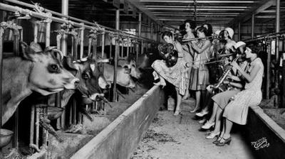 Редкие фото исторических событий и известных людей. Ч.29