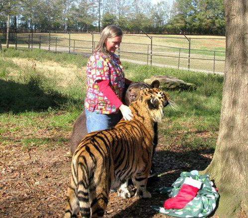 Медведь, лев и тигр живут одной семьёй