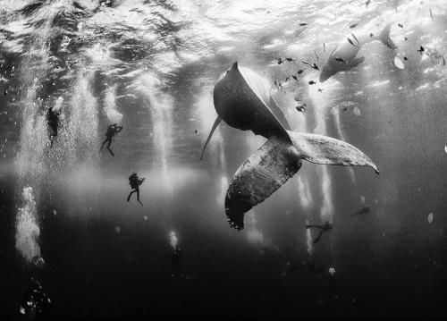 National Geographic назвал победителей  фотоконкурса для путешественников